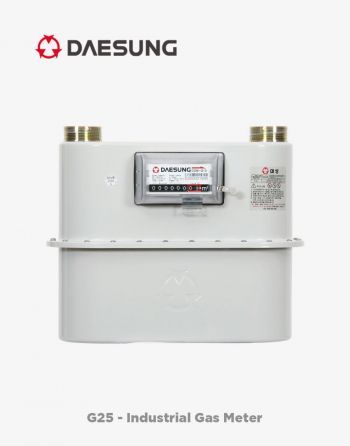Deasung G25 Industrial Diaphragm Gas Meter