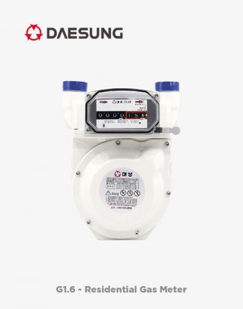 Deasung G1.6 Residential Diaphragm Gas Meter