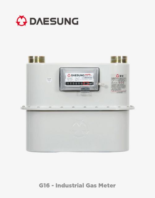 Deasung G16 Industrial Diaphragm Gas Meter